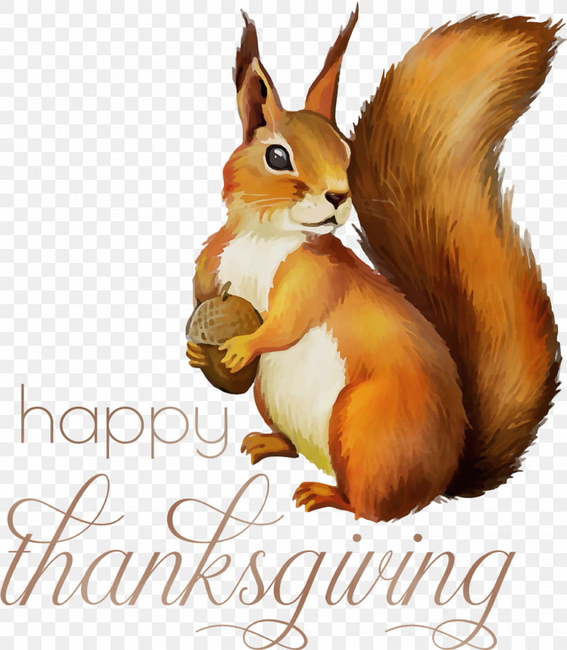 Squirrels Chipmunks Drawing Tree Squirrel Red Squirrel, PNG, 2615x3000px, Happy Thanksgiving, Cartoon, Chipmunks, Drawing, Fox Squirrel Download Free