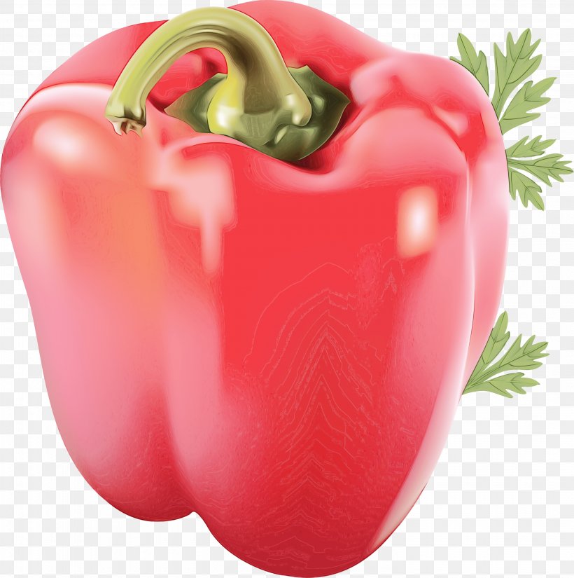 Vegetable Cartoon, PNG, 2980x3000px, Piquillo Pepper, Bell Pepper, Black Pepper, Capsicum, Chili Pepper Download Free