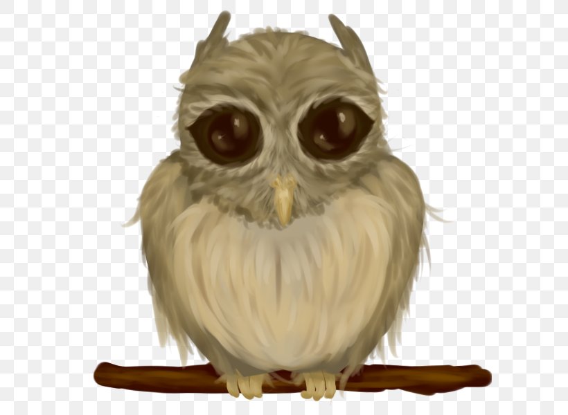 Bird Of Prey Owl Beak Snout, PNG, 600x600px, Bird, Animal, Beak, Bird Of Prey, Owl Download Free