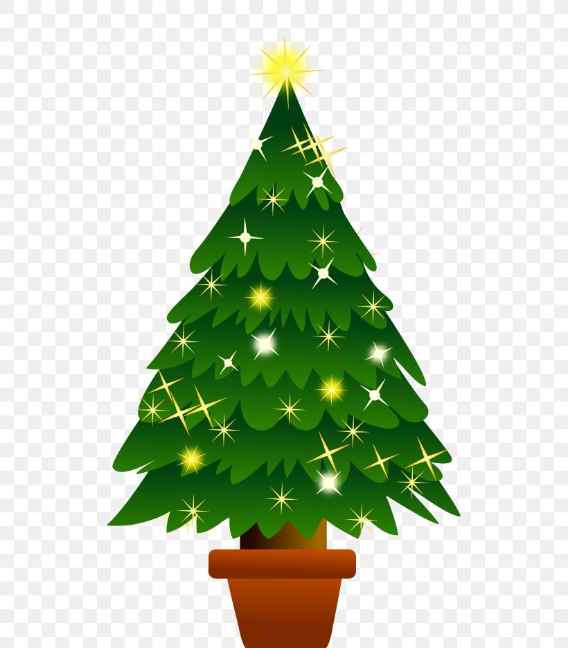 Christmas Tree Abies Firma, PNG, 511x936px, Christmas Tree, Abies Firma, Branch, Christmas, Christmas Decoration Download Free
