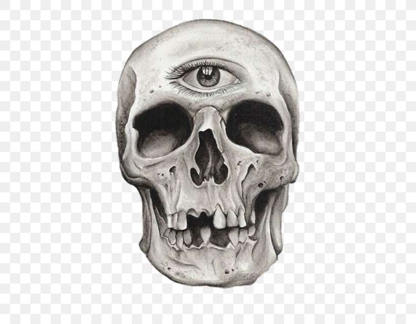 Human Skull Symbolism Skeleton Drawing Tattoo, PNG, 396x640px, Skull, Art, Artist, Bone, Drawing Download Free