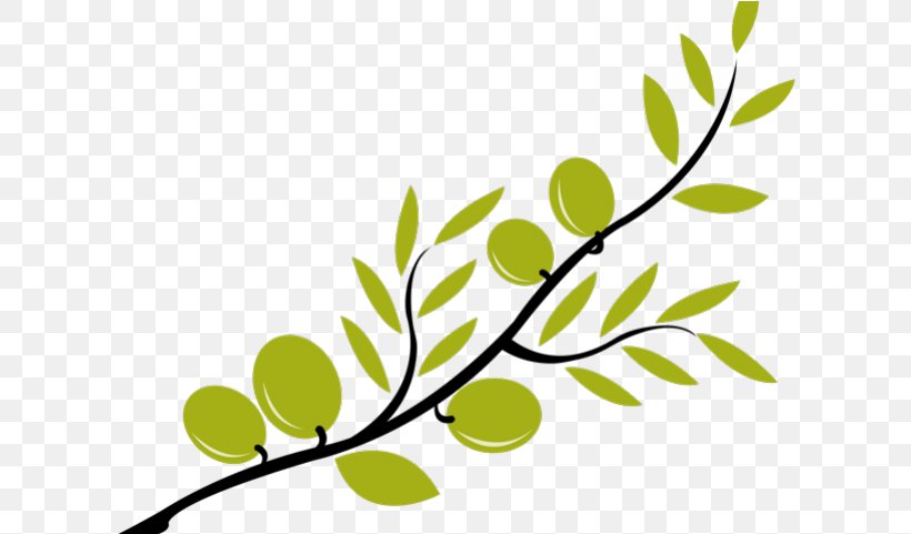 Leaf Branch Plant Tree Twig, PNG, 612x481px, Leaf, Branch, Flower, Plant, Plant Stem Download Free