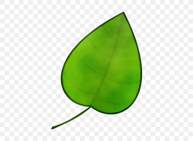 Leaf Green Plant Structure Biology Science, PNG, 600x600px, Watercolor, Biology, Green, Leaf, Paint Download Free