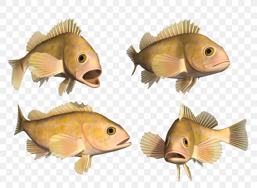 Bony Fishes Deep Sea Fish Hagfish, PNG, 800x600px, Bony Fishes, Animal, Bony Fish, Deep Sea, Deep Sea Fish Download Free