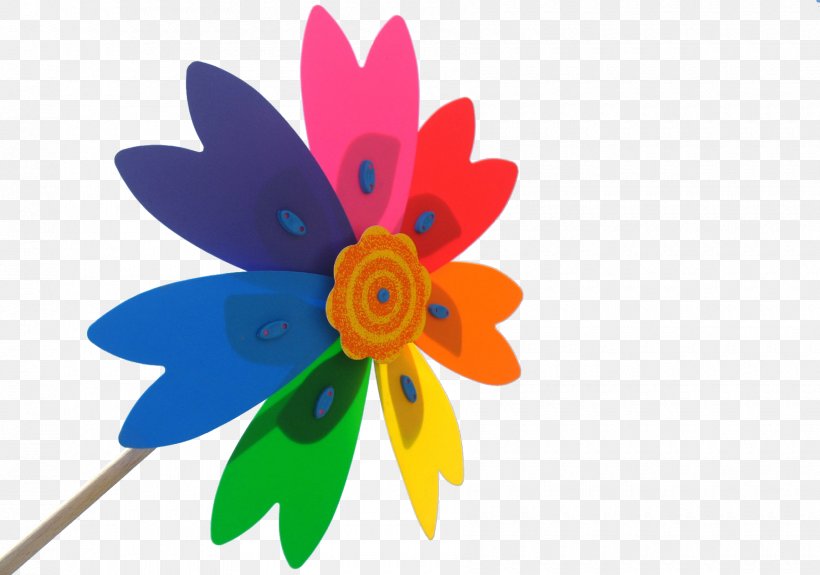 Color Windmill, PNG, 1800x1264px, Color, Flower, Flowering Plant, Petal, Pinwheel Download Free