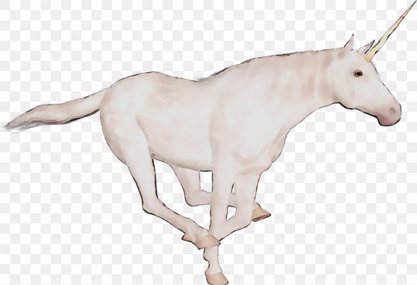 Mule Mustang Unicorn Oryx Donkey, PNG, 1521x1042px, Mule, Animal Figure, Donkey, Fauna, Fictional Character Download Free