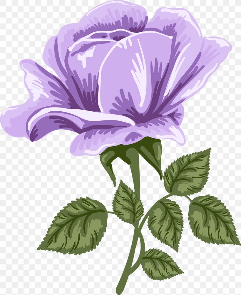 Purple Watercolor Flower, PNG, 980x1200px, Rose, Anemone, Bellflower Family, Blue, Blue Rose Download Free