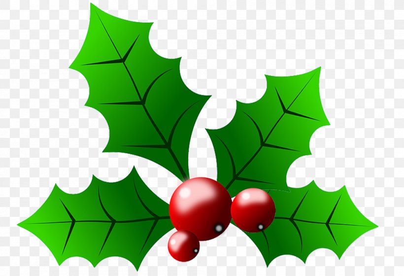 Common Holly Christmas Clip Art, PNG, 1000x684px, Common Holly, Aquifoliaceae, Aquifoliales, Branch, Christmas Download Free