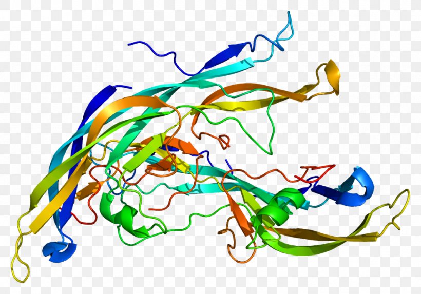 FSHB Follicle-stimulating Hormone Thyroid-stimulating Hormone Human Chorionic Gonadotropin Apelin, PNG, 987x690px, Watercolor, Cartoon, Flower, Frame, Heart Download Free