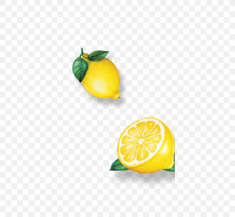 Lemon Key Lime Persian Lime Vegetarian Cuisine, PNG, 400x758px, Lemon, Citric Acid, Citron, Citrus, Citrus Junos Download Free
