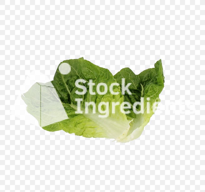 Romaine Lettuce Spring Greens Leaf Vegetable Plastic, PNG, 768x768px, Romaine Lettuce, Leaf, Leaf Vegetable, Lettuce, Plastic Download Free