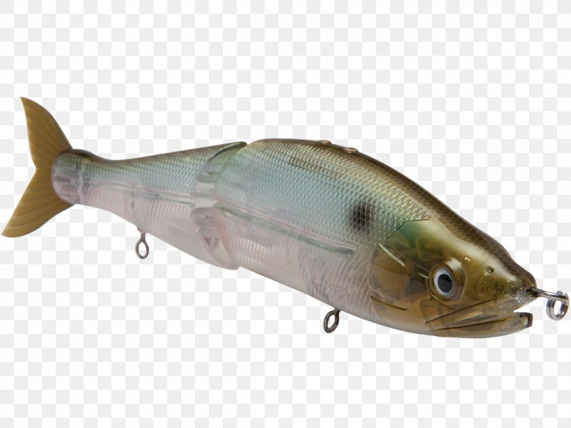 Sardine Spoon Lure Oily Fish Milkfish Osmeriformes, PNG, 1200x900px, Sardine, Ac Power Plugs And Sockets, Bait, Bonito, Bony Fish Download Free