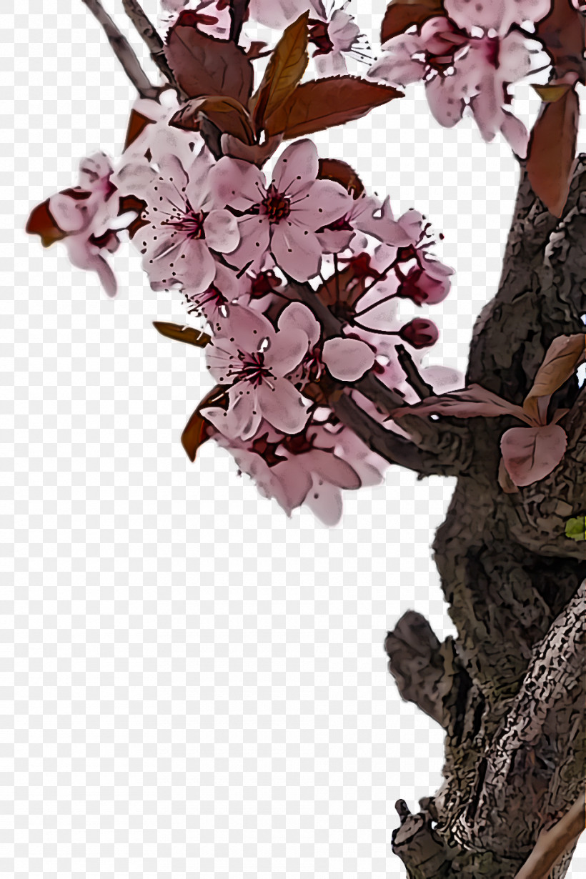 Spring Flower Spring Floral Flowers, PNG, 960x1440px, Spring Flower, Blossom, Branch, Cut Flowers, Flower Download Free
