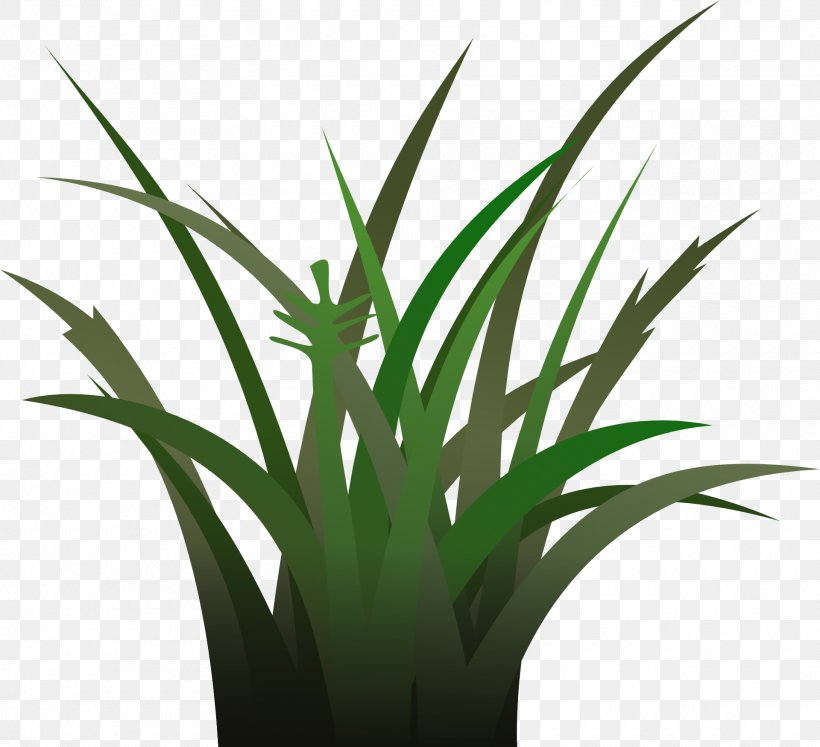 Clip Art, PNG, 1920x1751px, Lawn, Aloe, Arecales, Document, Flowerpot Download Free