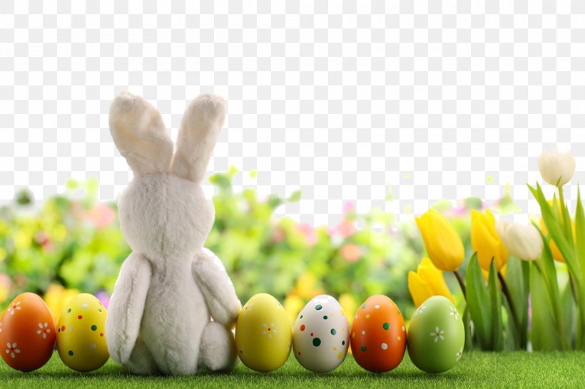 Easter Bunny Easter Egg, PNG, 1000x667px, Easter Bunny, Child, Christmas, Easter, Easter Egg Download Free