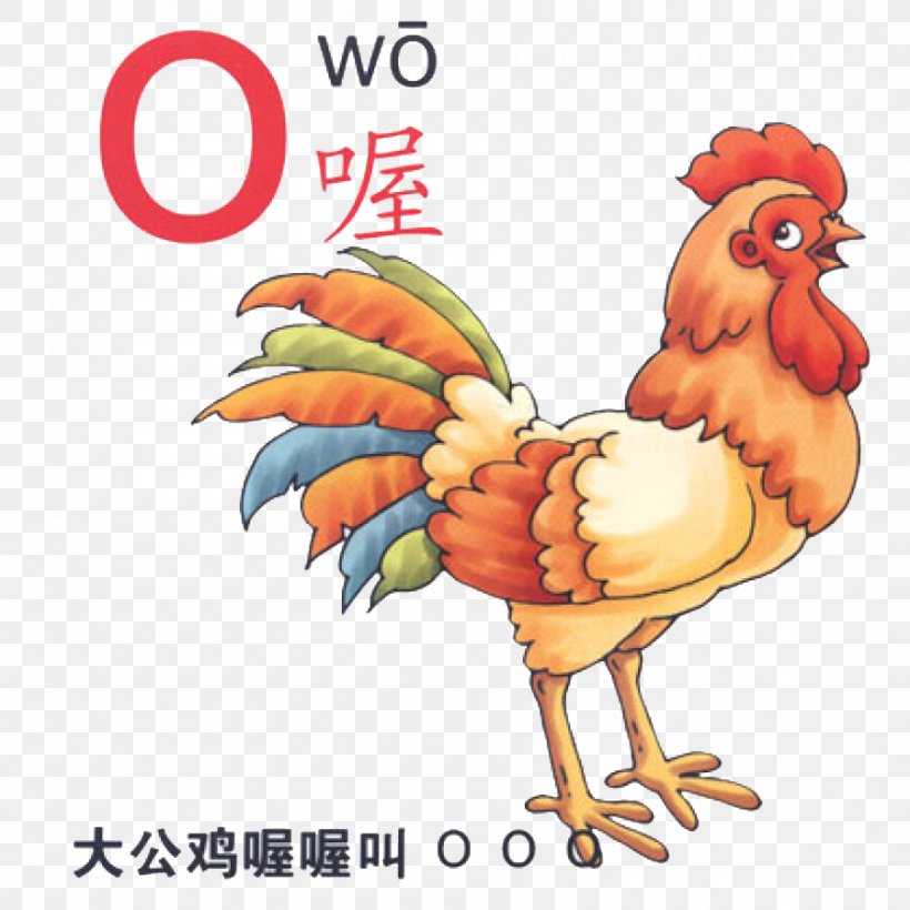 Rooster Pinyin Cartoon Illustration, PNG, 900x900px, Rooster, Alphabet, Animated Film, Art, Beak Download Free