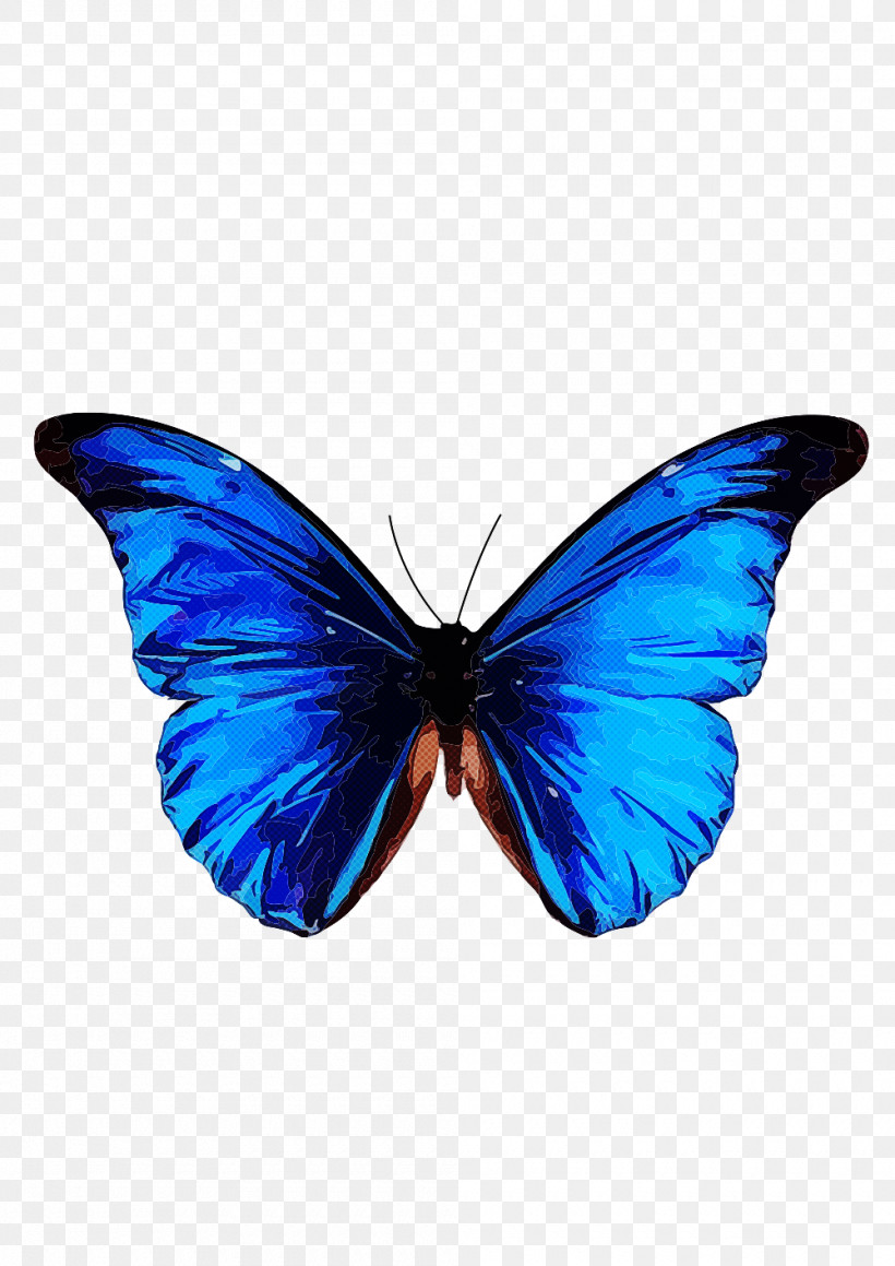 Moths And Butterflies Butterfly Insect Blue Pollinator, PNG, 1000x1414px, Moths And Butterflies, Blue, Brushfooted Butterfly, Butterfly, Cobalt Blue Download Free