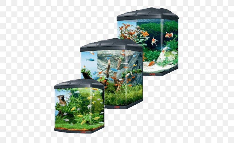 Biotope Aquarium Fresh Water Fishkeeping Cube, PNG, 500x500px, Biotope, Akwarystyka Morska, Aquarium, Aquarium Decor, Aquariums Download Free