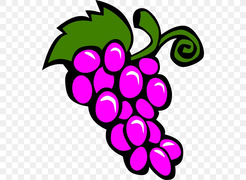 Common Grape Vine Wine Chardonnay Clip Art, PNG, 540x599px, Common Grape Vine, Artwork, Blog, Chardonnay, Drawing Download Free