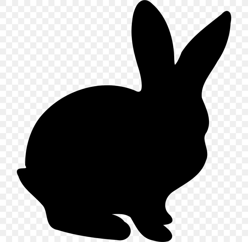 Domestic Rabbit Hare Universita' Degli Studi Di Napoli Federico Ii Dog Whiskers, PNG, 710x800px, Domestic Rabbit, Animal, Beslenme, Biochemistry, Blackandwhite Download Free