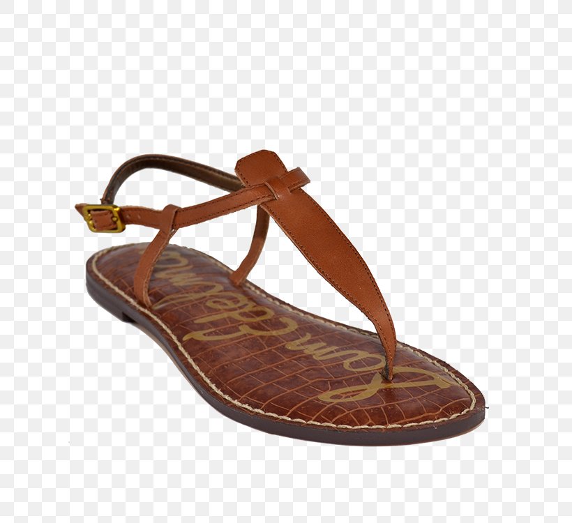 Sandal Flip-flops Footwear Shoe, PNG, 650x750px, Sandal, Brown, Digit, Flip Flops, Flipflops Download Free