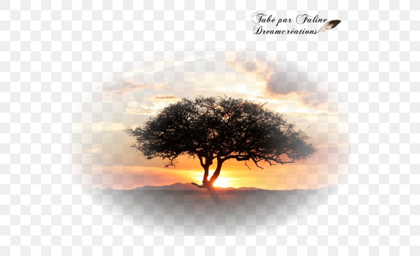 Landscape Africa Création Graphique PlayStation Portable Computer, PNG, 600x500px, Landscape, Africa, Book, Computer, Guestbook Download Free