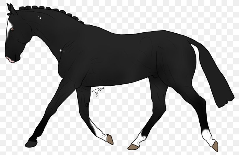 Mustang Stallion Mare Lipizzan Appaloosa, PNG, 800x532px, Mustang, Animal Figure, Appaloosa, Bit, Black Download Free