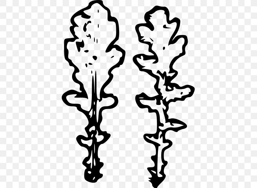 Plant Stem Leaf White Flower Clip Art, PNG, 426x600px, Plant Stem, Black And White, Branch, Branching, Flower Download Free