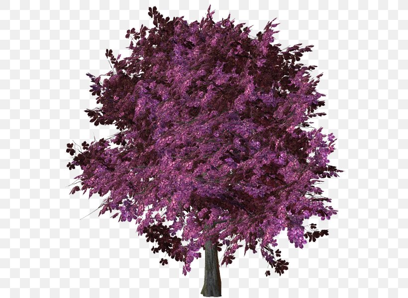 Branch Tree Shrub Clip Art, PNG, 600x600px, Branch, Invention, Landscape, Lilac, Magenta Download Free