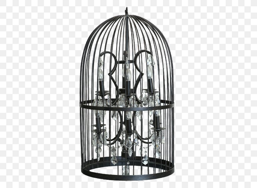Chandelier Birdcage Crystal, PNG, 800x600px, Chandelier, Bird, Birdcage, Cage, Ceiling Download Free