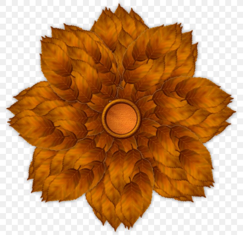 Flower Blume Petal Clip Art, PNG, 800x794px, Flower, Blume, Bud, Ciceksepeticom, Common Sunflower Download Free