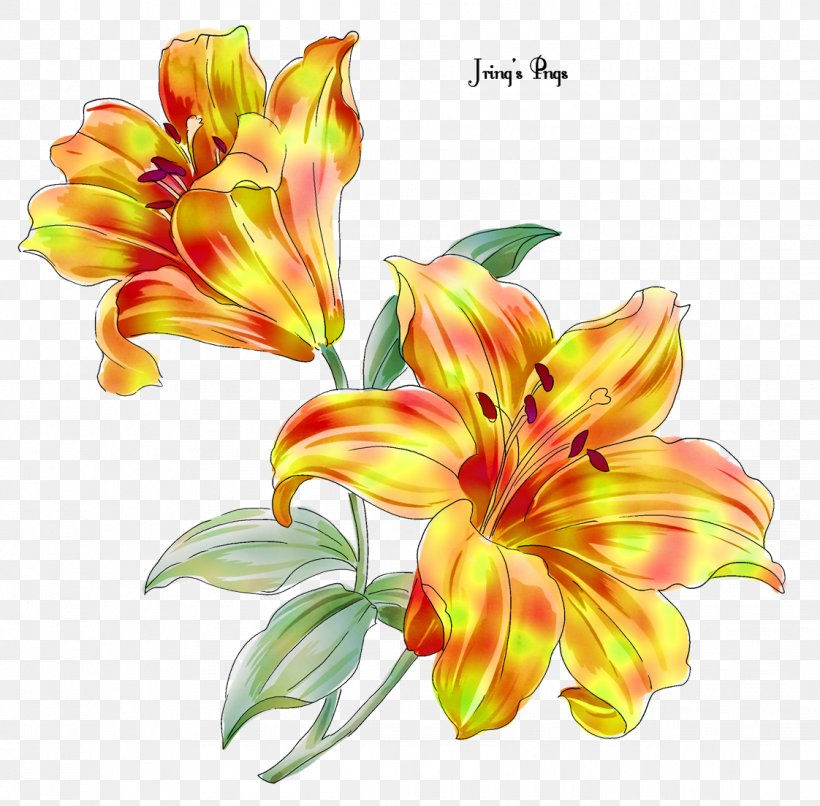 Flower Lily Floral Design Fleur-de-lis, PNG, 1122x1103px, Flower, Alstroemeriaceae, Cut Flowers, Daylily, Decorative Arts Download Free