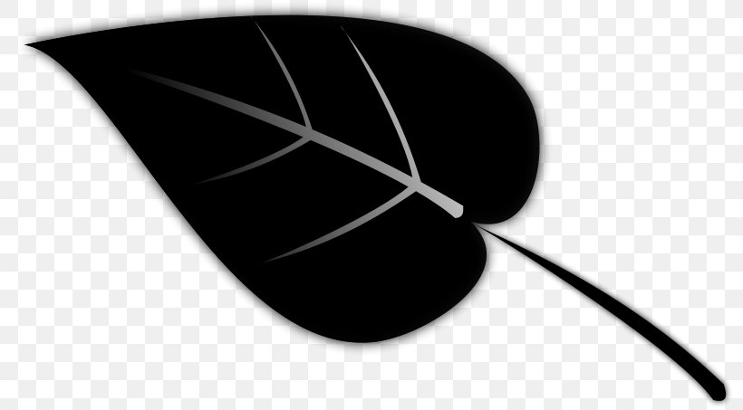 Leaf Silhouette Clip Art, PNG, 800x453px, Leaf, Black, Black And White, Drawing, Maple Download Free