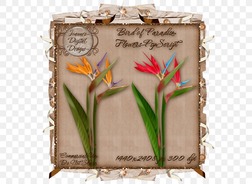 Santa Claus Picture Frames Letter, PNG, 600x600px, Santa Claus, Flower, Letter, Picture Frame, Picture Frames Download Free