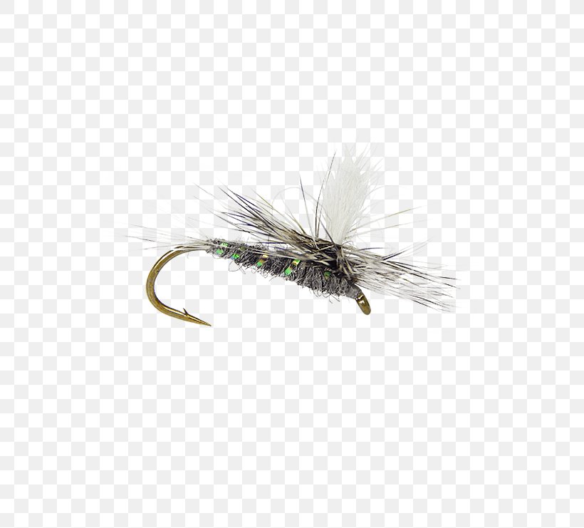 Artificial Fly Midge Magic Insect Adams, PNG, 555x741px, Fly, Adams, Artificial Fly, Crane Fly, Fishing Bait Download Free