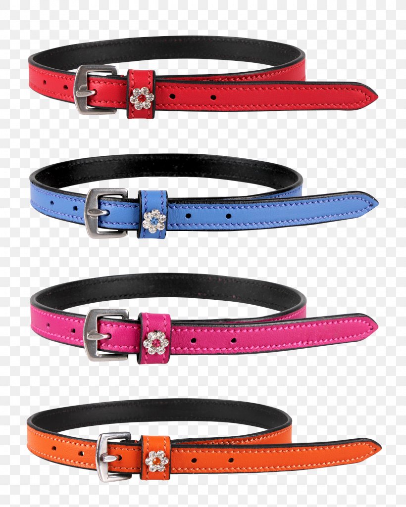 Belt Strap Dog Collar Leash, PNG, 1280x1600px, Belt, Collar, Dog, Dog Collar, Fashion Accessory Download Free