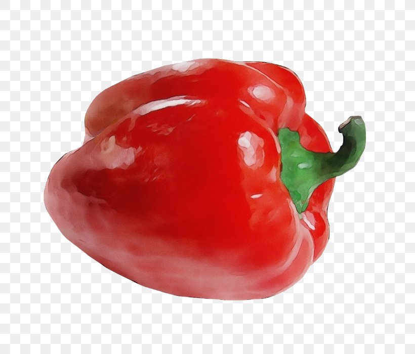 Pimiento Bell Pepper Bell Peppers And Chili Peppers Red Red Bell Pepper, PNG, 700x700px, Watercolor, Bell Pepper, Bell Peppers And Chili Peppers, Capsicum, Chili Pepper Download Free