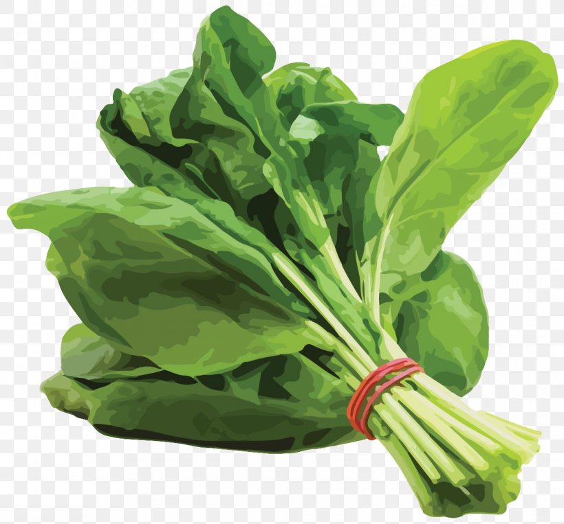 Spinach Saag Leaf Vegetable Organic Food, PNG, 1140x1061px, Spinach, Basil, Beetroot, Carotene, Chard Download Free