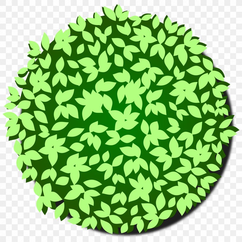 Tree Shrub Bonsai, PNG, 2400x2400px, Tree, Bonsai, Grass, Green, Leaf Download Free