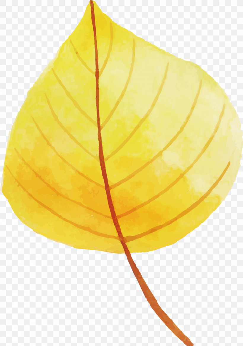 Autumn Leaf Colorful Leaf, PNG, 2101x2999px, Autumn Leaf, Biology, Colorful Leaf, Leaf, Plant Structure Download Free