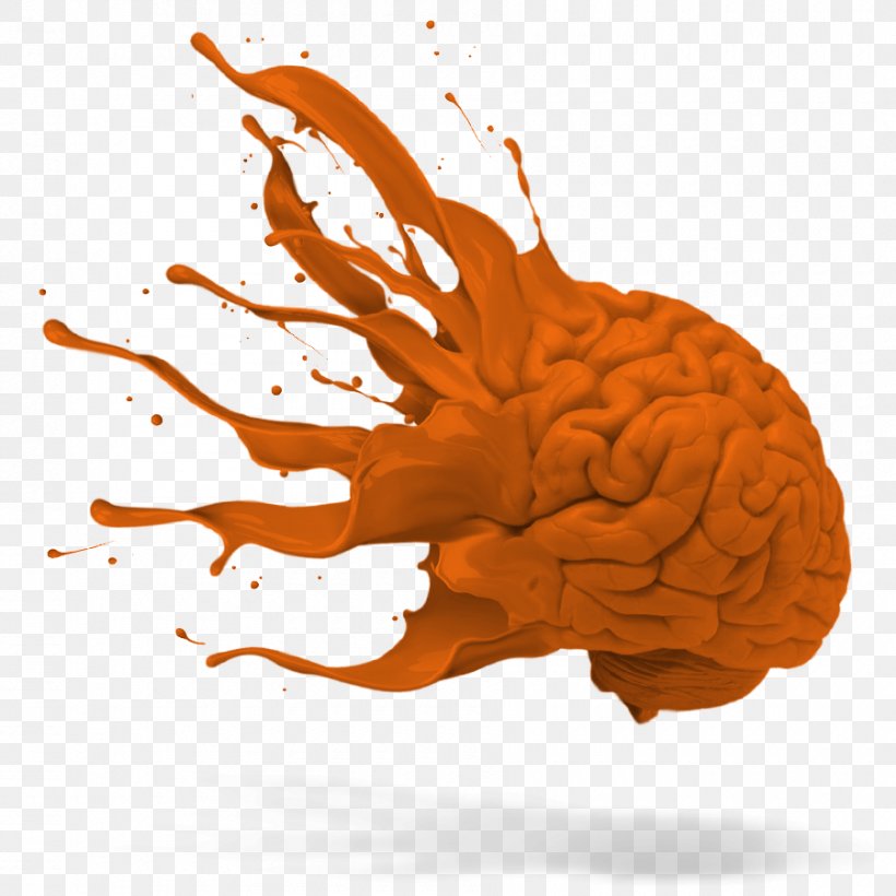 Drawing Agy Exploitin', PNG, 900x900px, Drawing, Agy, Computer Software, Orange, Organism Download Free