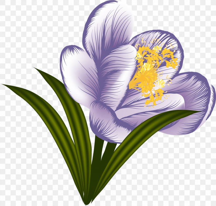 Flower Crocus Garden Clip Art, PNG, 1280x1219px, Flower, Colchicum Autumnale, Crocus, Flowering Plant, Garden Download Free