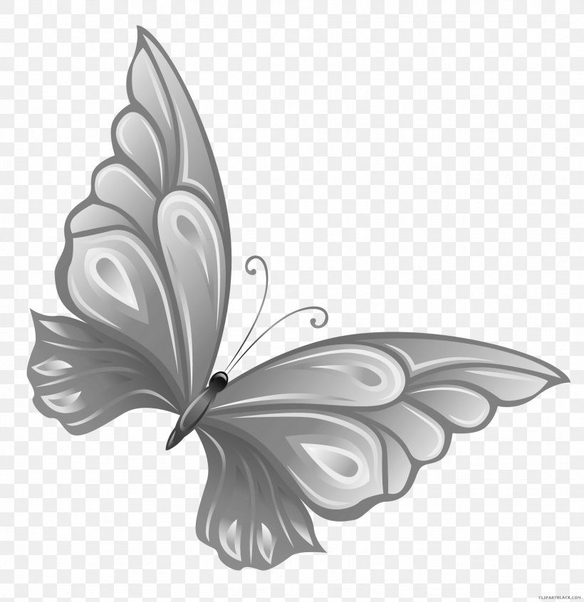 Glasswing Butterfly Clip Art Insect, PNG, 1721x1776px, Butterfly, Black And White, Blue, Bluegreen, Butterflies And Moths Download Free