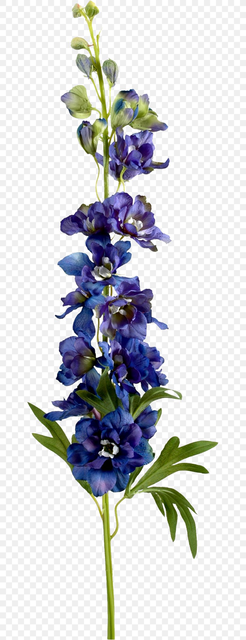 Artificial Flower Larkspur, PNG, 639x2132px, Flower, Artificial Flower, Common Sage, Cut Flowers, Decorative Arts Download Free