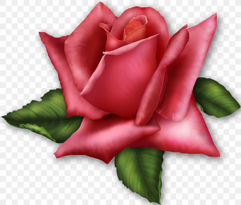 Rose Flower Pink Clip Art, PNG, 1113x950px, Rose, Cut Flowers, Flower, Flower Bouquet, Flowering Plant Download Free