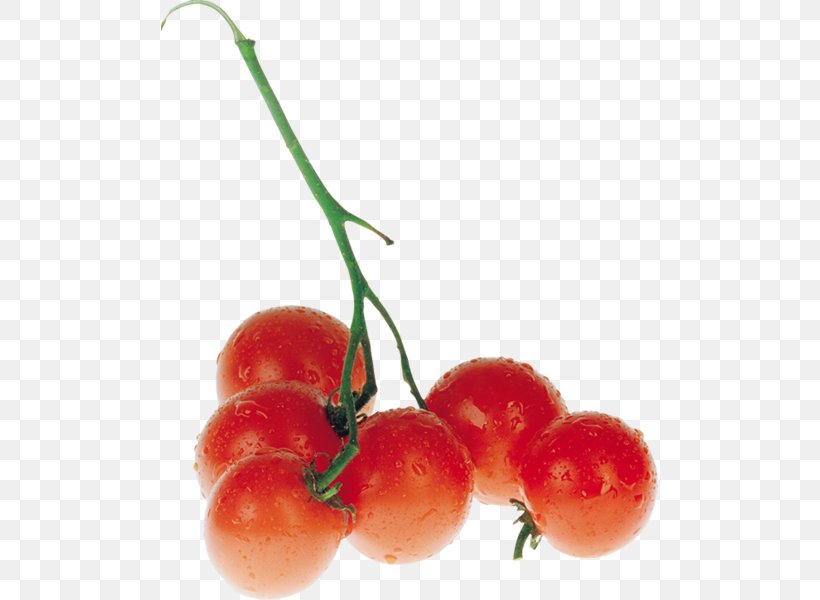 Cherry Tomato Vegetable Tomato Juice Food, PNG, 497x600px, Cherry Tomato, Acerola, Acerola Family, Berry, Bush Tomato Download Free