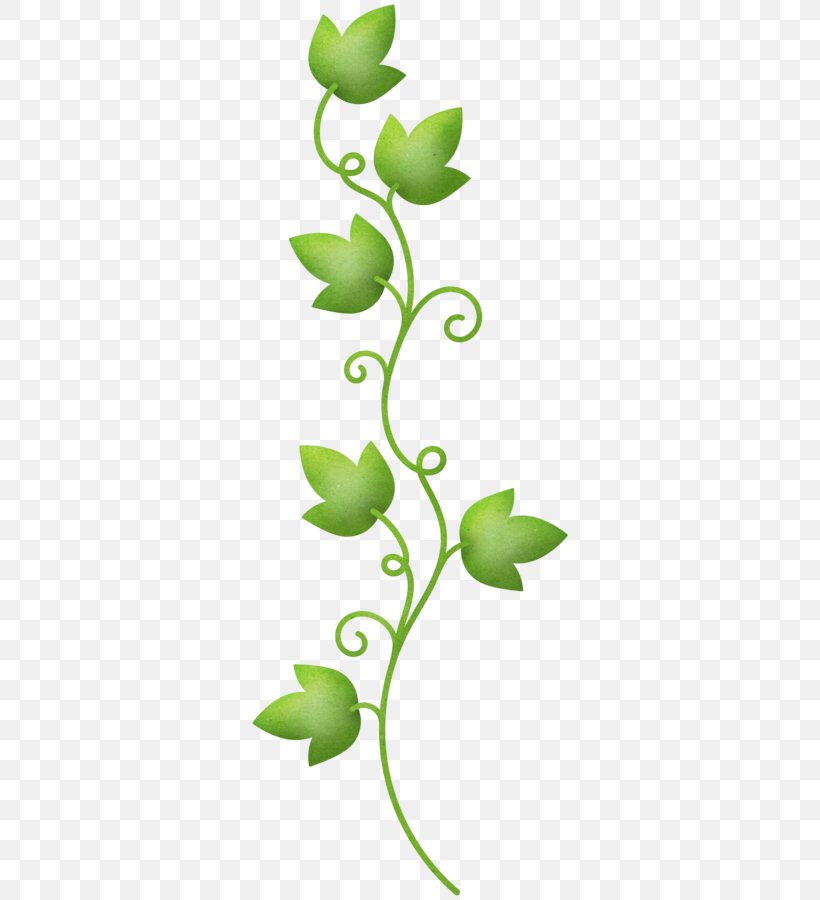 Graphics Drawing Illustration Clip Art Image, PNG, 326x900px, 2018, Drawing, Art, Branch, Flora Download Free