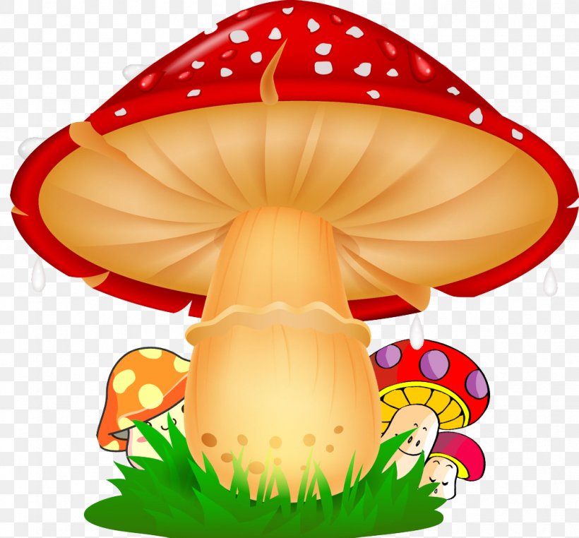 Mushroom Cartoon Illustration, PNG, 1042x969px, Mushroom, Amanita Muscaria, Animation, Cartoon, Edible Mushroom Download Free