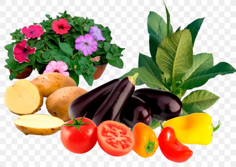 Vegetable Vegetarian Cuisine Diet Food Garnish, PNG, 1243x880px, Vegetable, Cuisine, Diet, Diet Food, Food Download Free