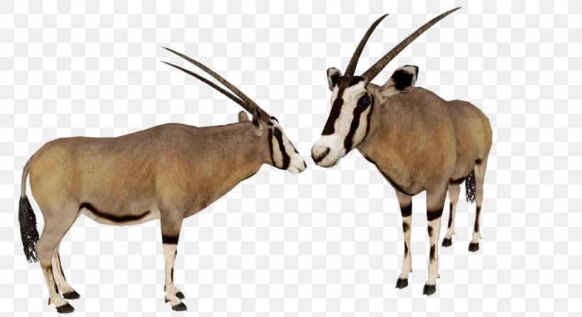 Zoo Tycoon 2 Gemsbok Antelope Waterbuck, PNG, 1024x559px, Zoo Tycoon 2, Animal, Animal Figure, Antelope, Cattle Like Mammal Download Free